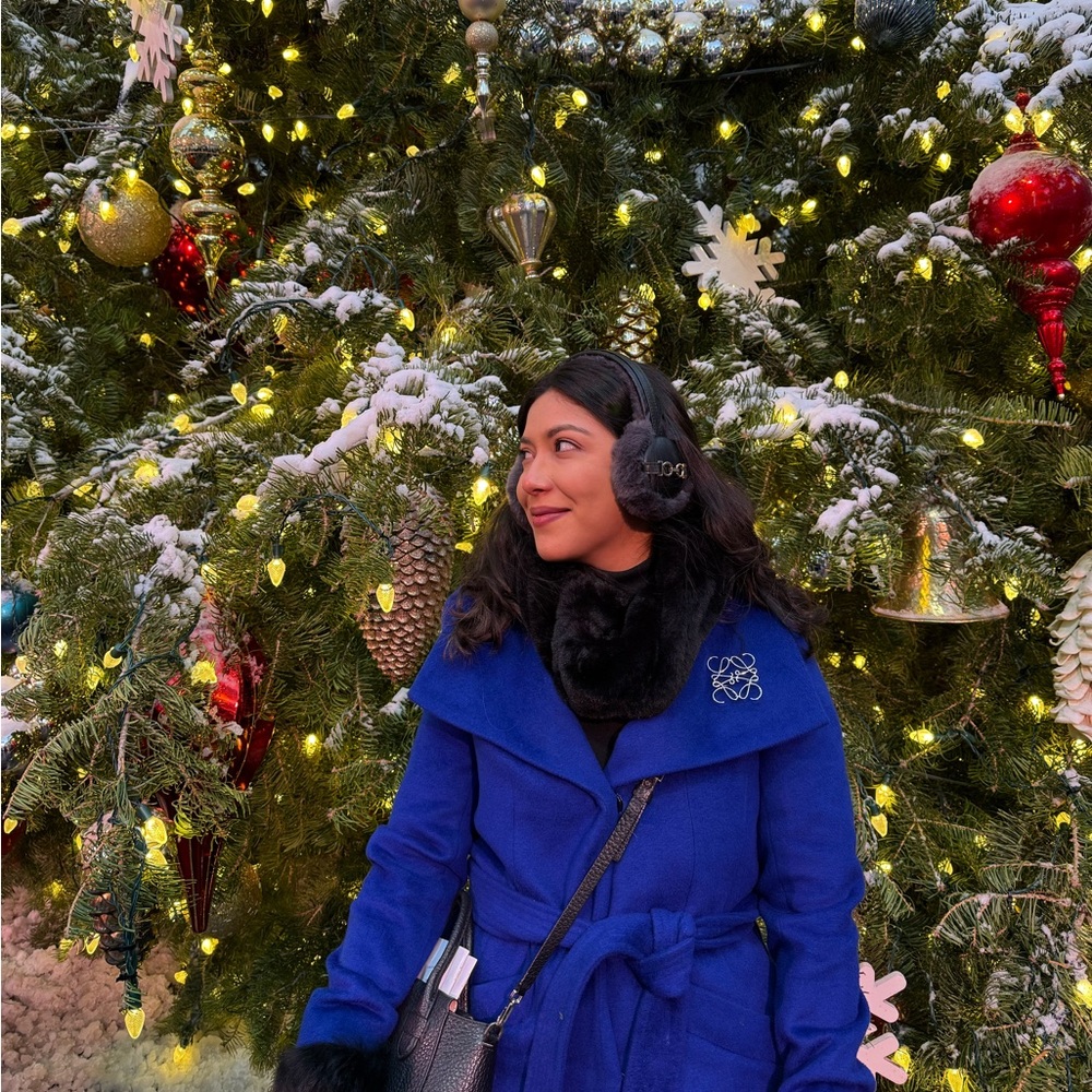 Meet your Posher, Dayanara